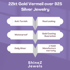 Ella Silver Hoop Earrings | 22KT Gold Vermeil - Shinez By Baxi Jewellers